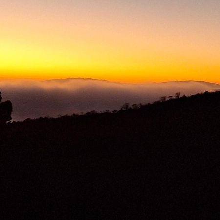شقة Casa El Pino B Vera de Erque الغرفة الصورة