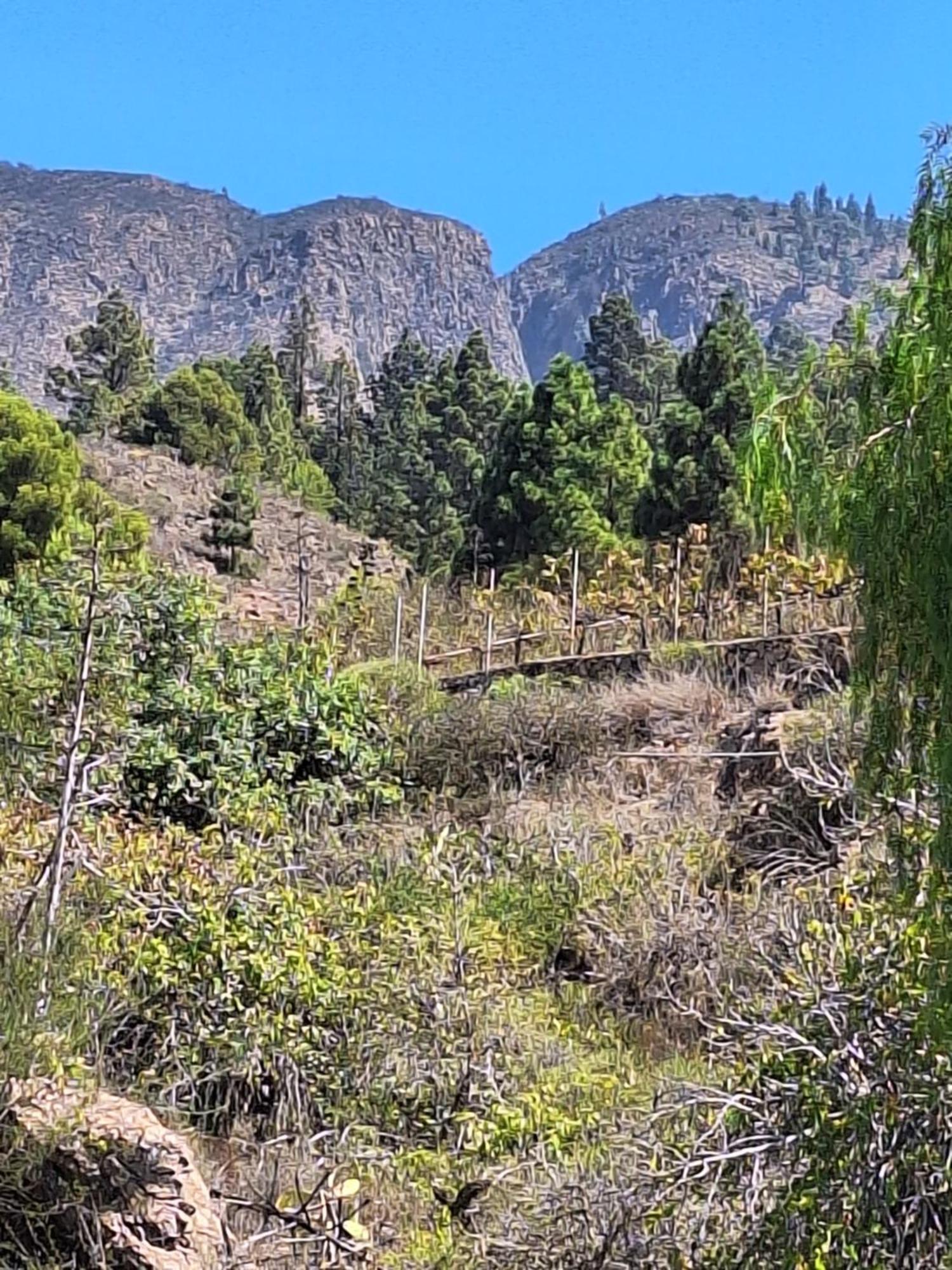 شقة Casa El Pino B Vera de Erque المظهر الخارجي الصورة